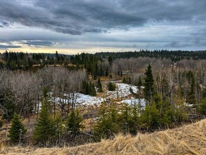 A natural landscape with a river, dense forest, and a cloudy sky. - Room 20. Angry Salmon Inn. (Anchor Point)