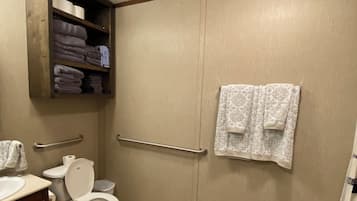 Hair dryer, towels, toilet paper