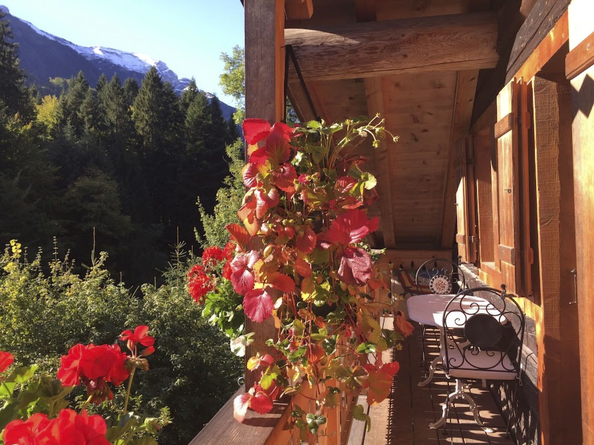 Speisen im Freien