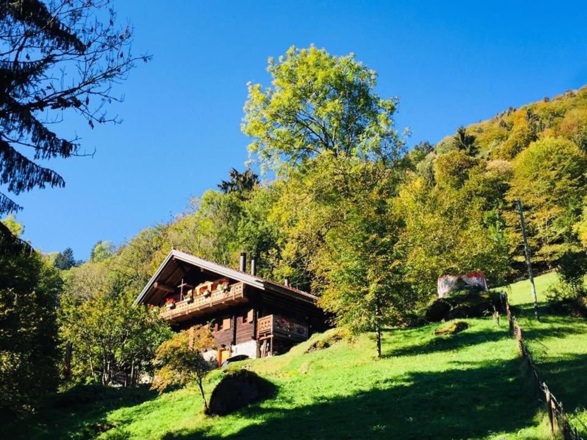 Un chalet en bois doté d’un balcon, entouré d’une végétation luxuriante et d’arbres.