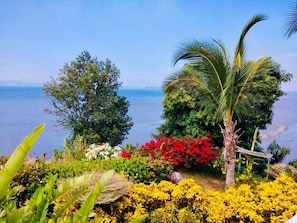 Eine Küstenlandschaft mit vielfältiger Vegetation, darunter Palmen und blühende Pflanzen, mit Blick aufs Meer.