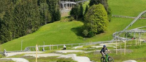 A mountain biking trail with a wooden cabin and a large tree in the background.