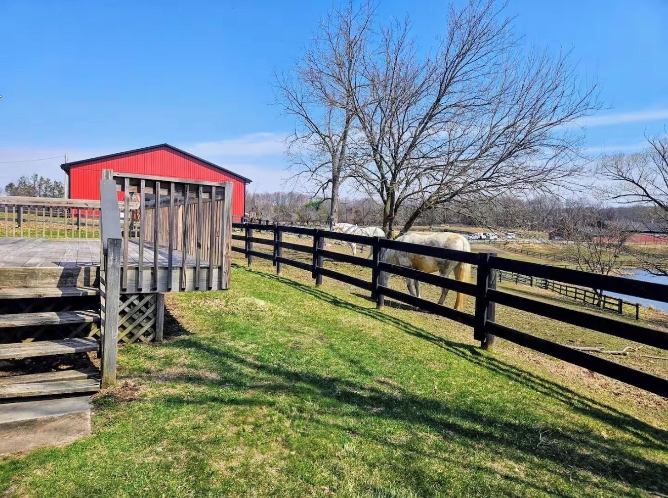 Une grange rouge, une clôture en bois et un cheval dans un champ d’herbe.