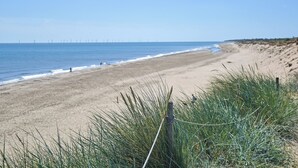 Beach - Walnut Tree - UK52235 (Horning)