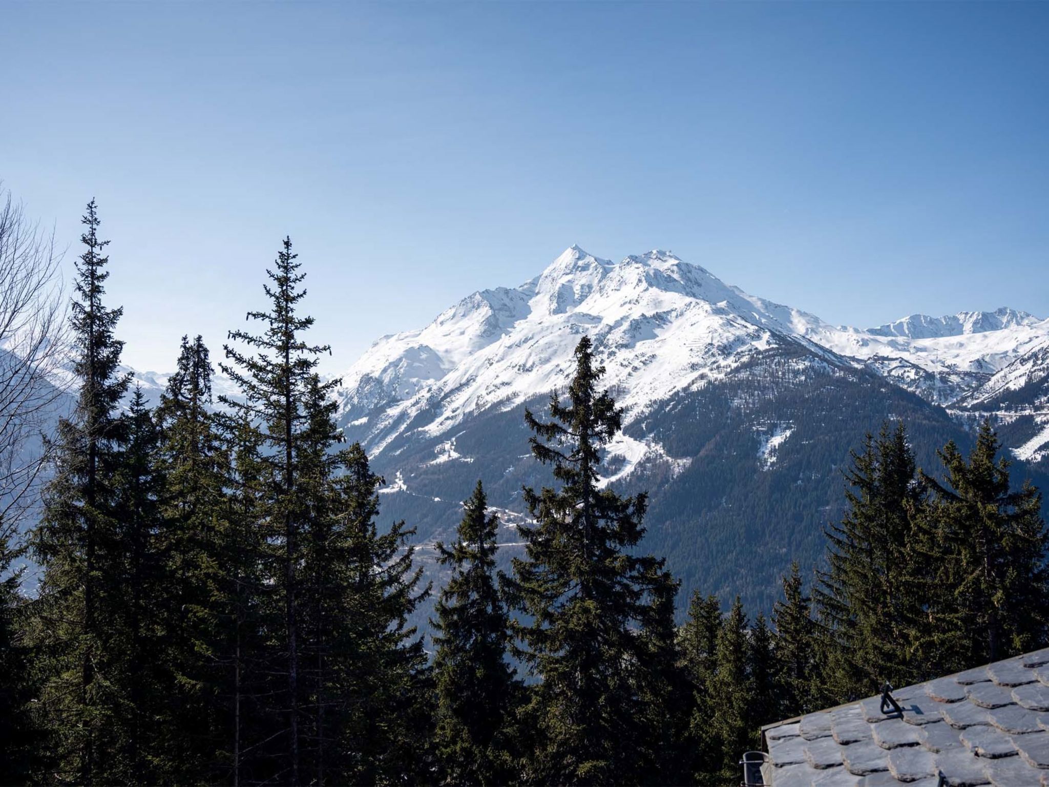 Eine Berglandschaft mit schneebedeckten Gipfeln und dichten Nadelwäldern.
