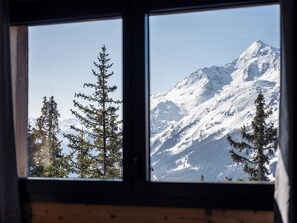 Une fenêtre donnant sur des montagnes enneigées et des arbres à feuilles persistantes.