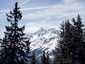 A mountain range with snow-covered peaks and dense evergreen trees in the foreground. - Résidence l'Orée du Bois by Interhome (La Rosière)