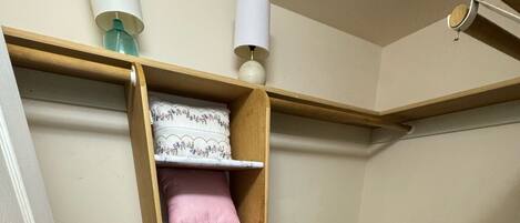 A compact storage closet with shelves, a hanging rack, and a small rug.