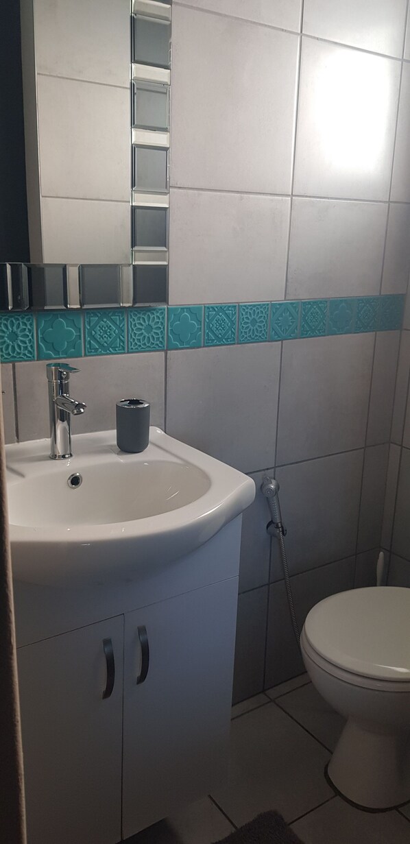 A bathroom with a sink, toilet, and a shower.