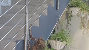 A staircase with metal railings and hanging plants. - Beachfront Accommodation (West Coast District Municipality)
