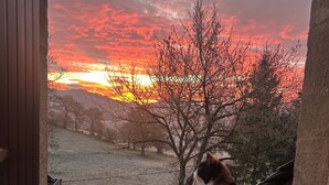 Un gat assegut sobre una cornisa de pedra, amb vista a un paisatge de trees i un capvespre.