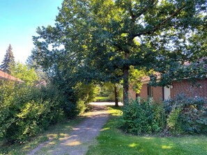 A pathway leading through a garden with dense foliage and a brick building in the background.