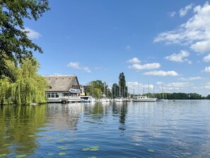 A riverside building with a thatched roof, docked boats, and a calm water body with lily pads.