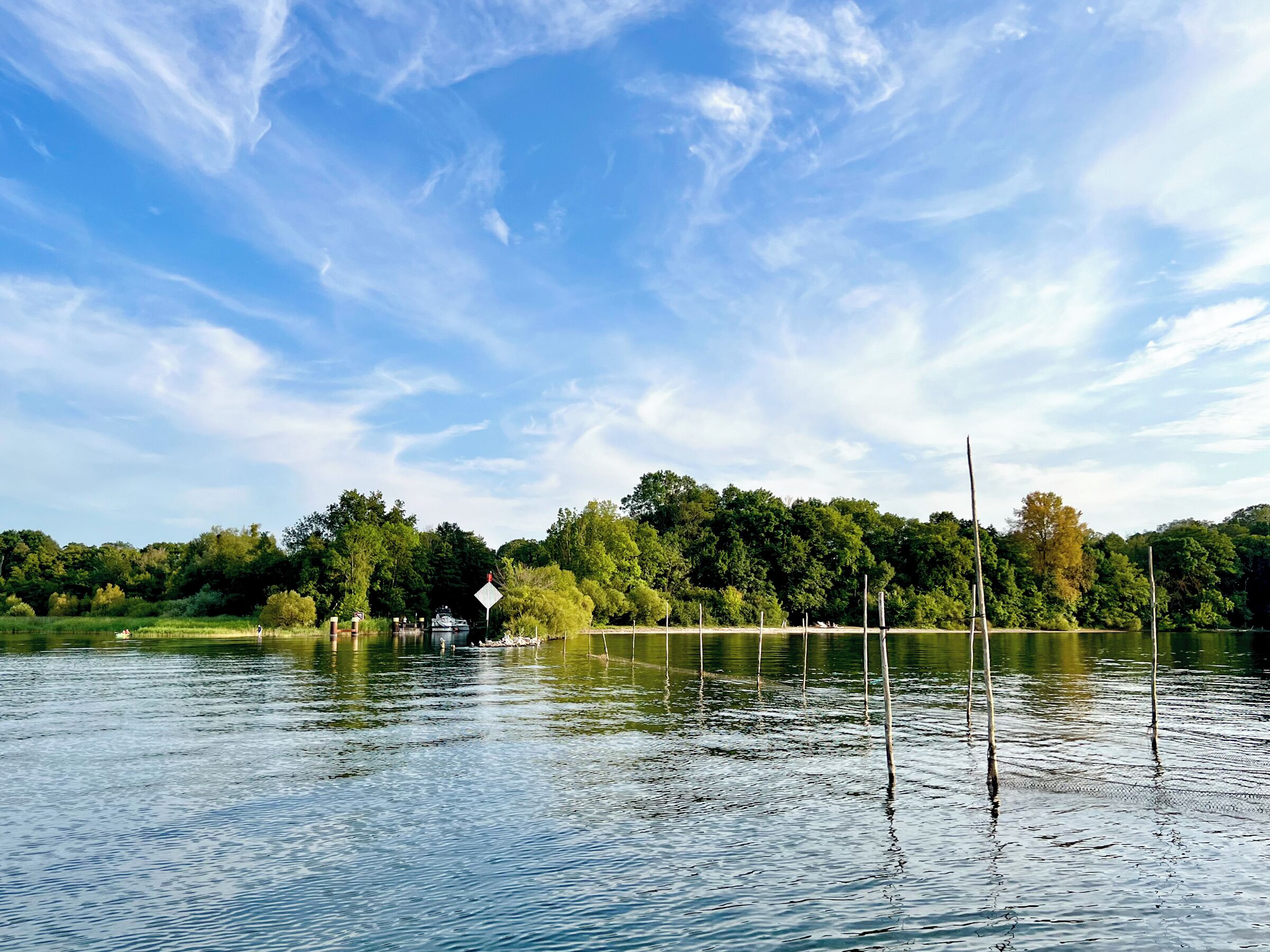 Ein ruhiger See mit Bäumen im Hintergrund und einem klaren Himmel.
