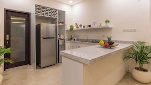 A modern kitchen with a built-in island, stainless steel appliances, and potted plants. - Villa Sereine Seminyak (Seminyak)