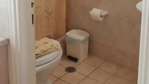 Een badkamer met toilet, douche en gordijn.