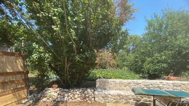 Unclassified image, 1 of 29, button - Charming Artist’s House with Private Gardenparking  near Narbonne City Centre (Narbonne)