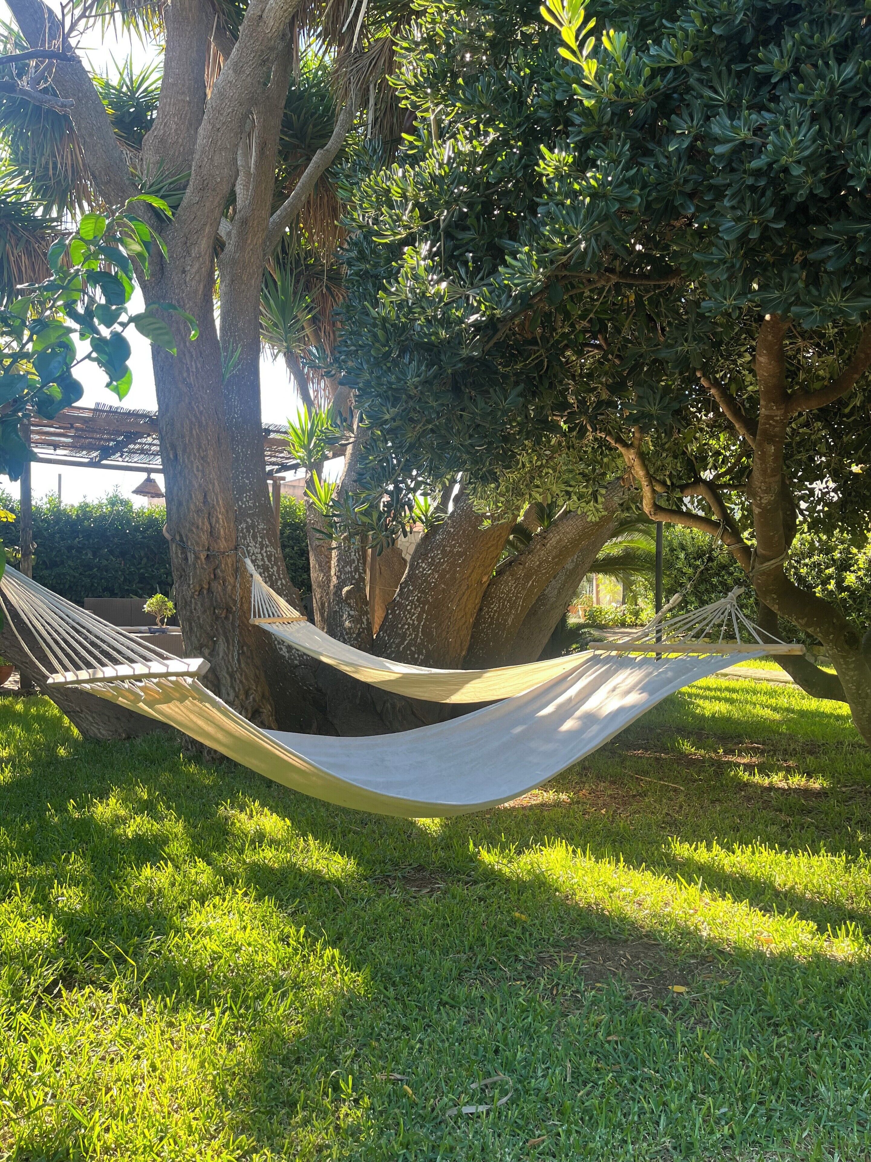 A hammock tied between two trees in a grassy area.