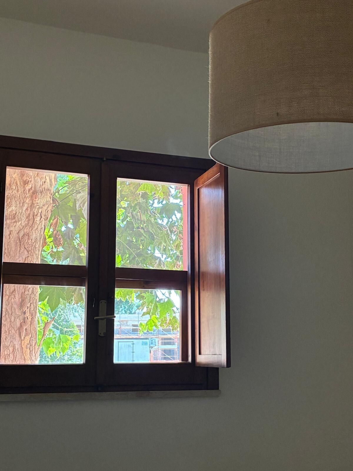 A window with a view of greenery and a building outside.