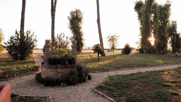 Un jardín con un sendero de grava, plantas en macetas y árboles.