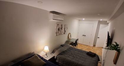 New 2-bedroom Garden apartment in peaceful Brooklyn with AC and charm