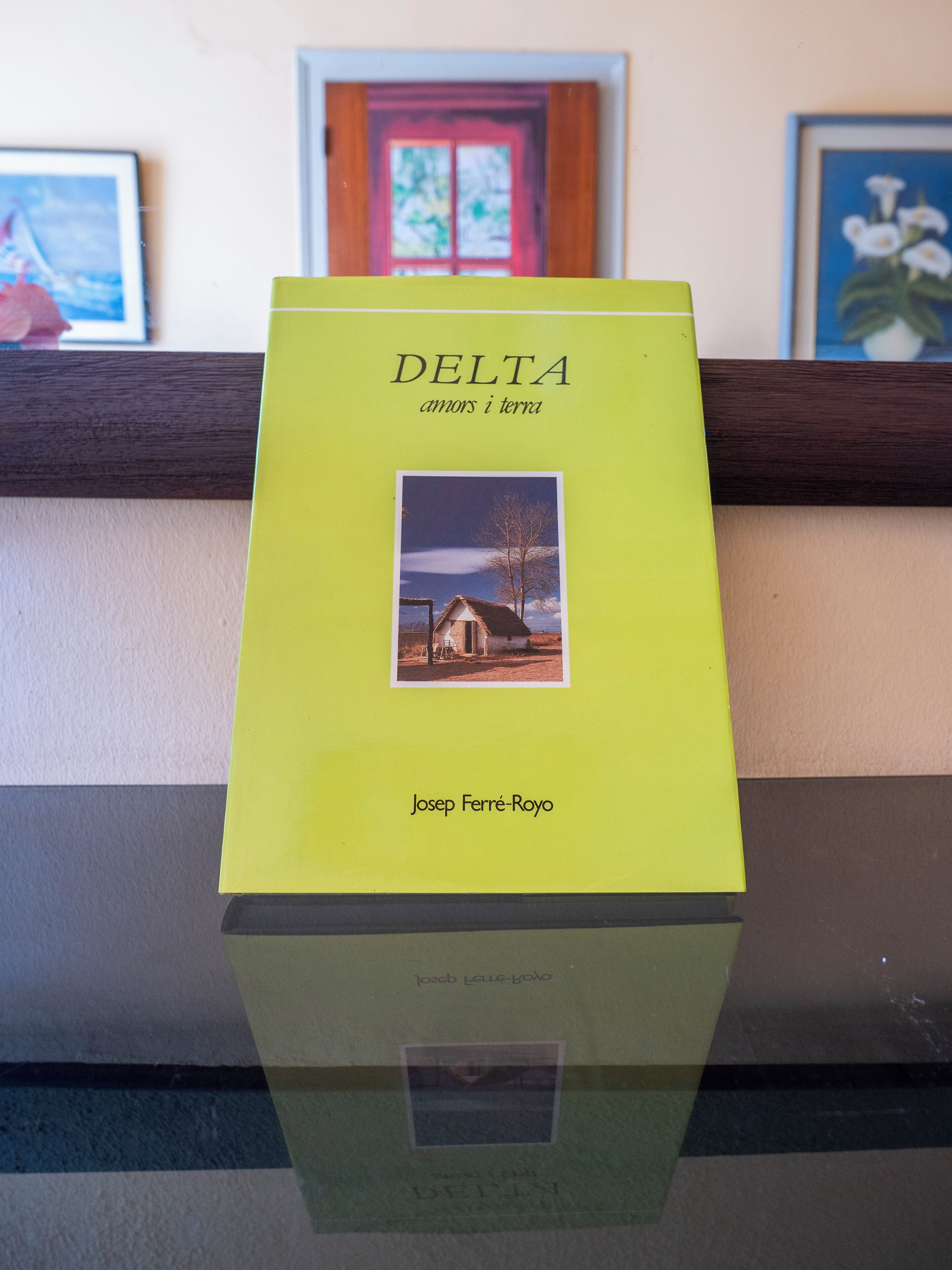 Un livre intitulé « DELTA », de Josep Ferré-Royo, posé sur une surface réfléchissante.