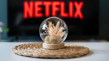 A clear glass sphere with dried plants on a woven placemat, placed in front of a television displaying the word 'NETFLIX' in red letters.