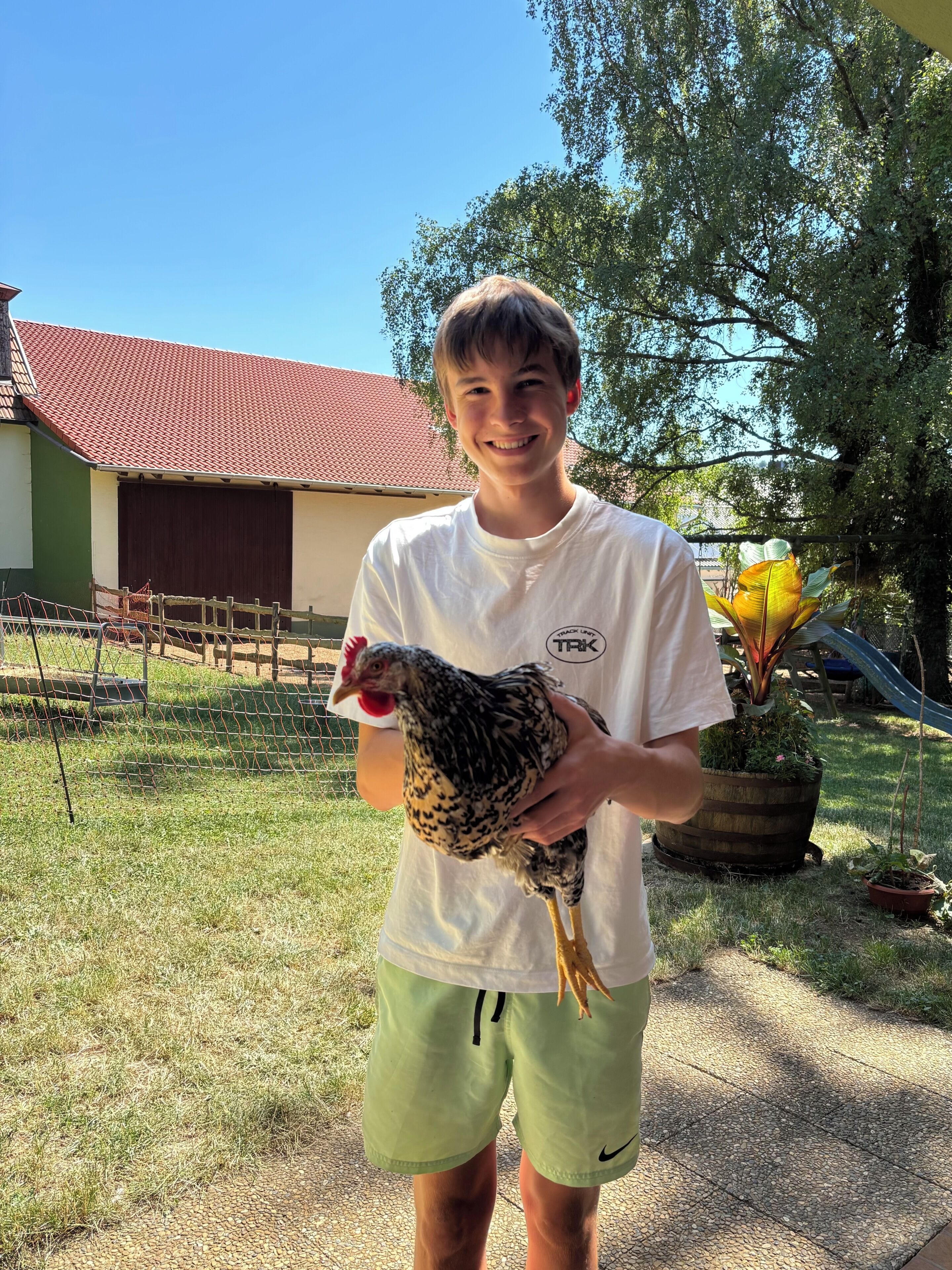 Eine Person hält ein Huhn im Freien, im Hintergrund ein Bauernhaus und ein Zaun.