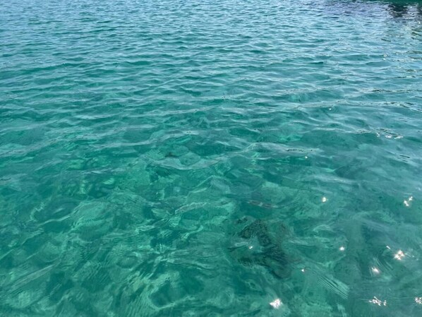 Clear water with visible ripples and a submerged object.