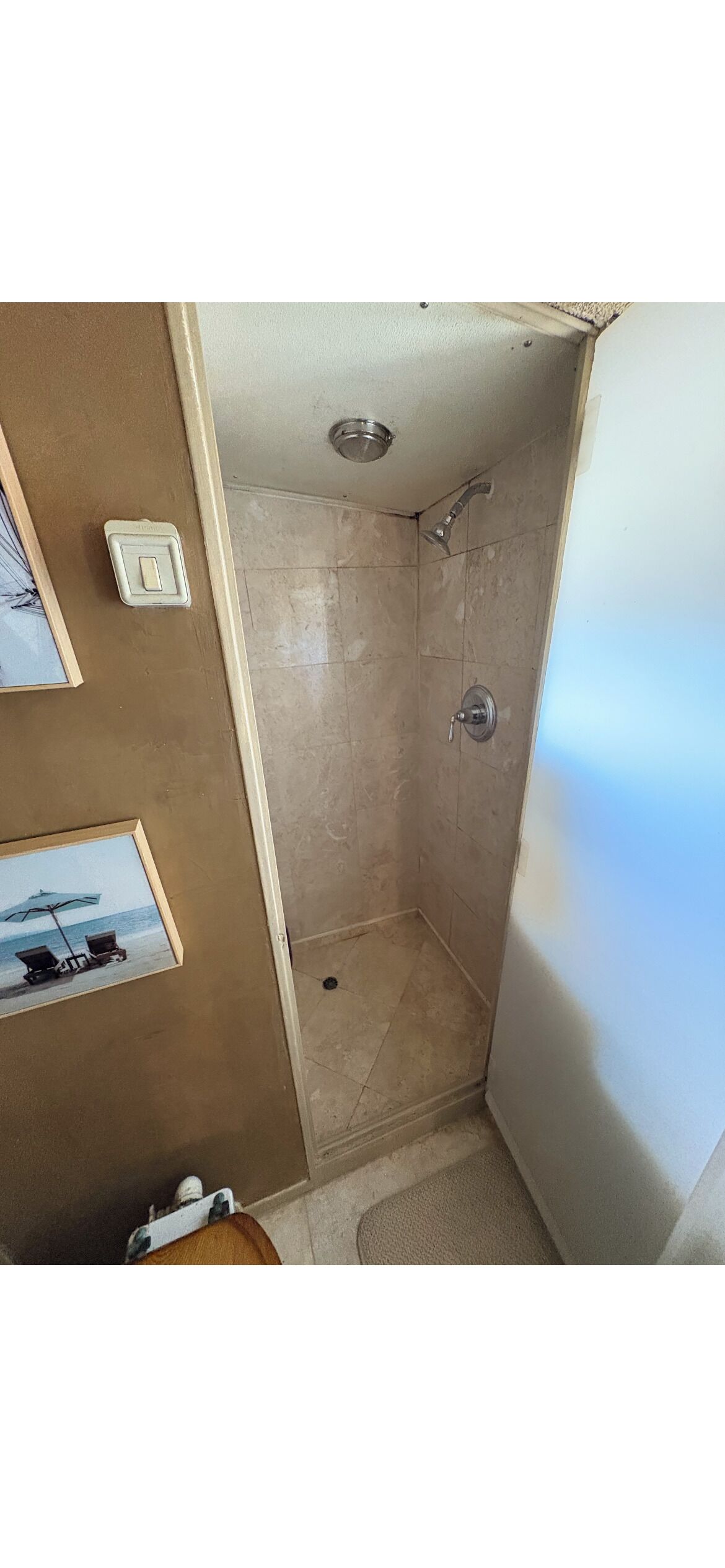Shower, towels, soap, toilet paper