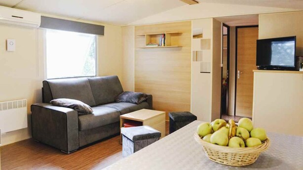 A modern living room with a grey sofa, a small wooden table, and a basket of green apples. - Cottage in a Natural Domain P10 (Saint-Privat-de-Champclos)