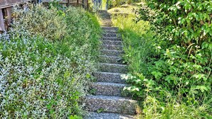 Eine steinerne Treppe, umgeben von dichtem Grün.