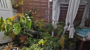 A garden with various plants and a wooden fence. - Kaz Détente, a 3-bedroom house with a hot tub, just 5 minutes from the beach! (Pointe-Noire)