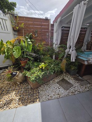Ein Garten mit verschiedenen Pflanzen und einem Holzzaun.