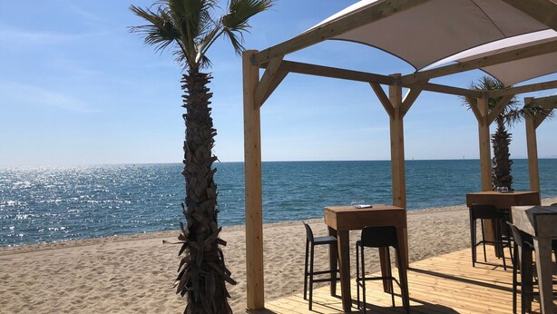 En träveranda med bord och stolar, ett takförsett område och palmer vid stranden.