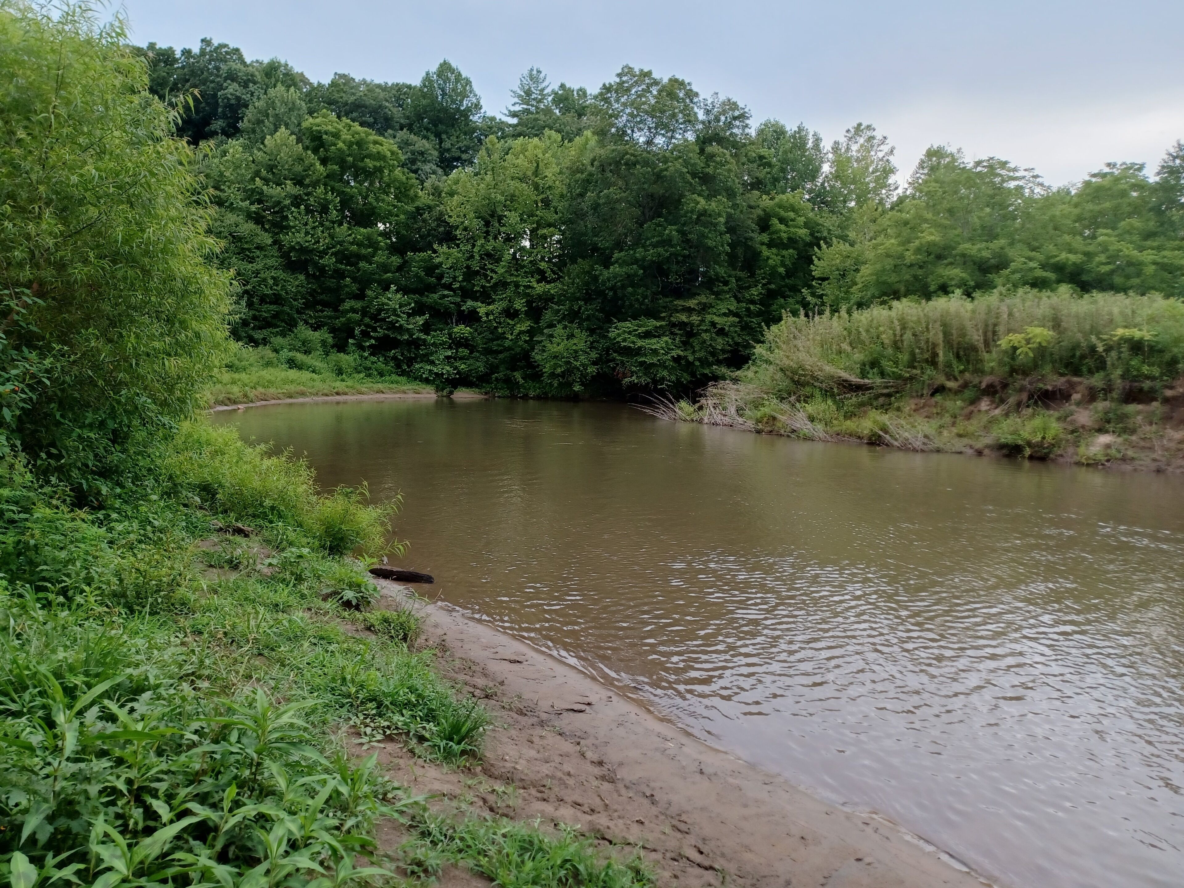 Une rivière bordée de chaque côté d’une végétation luxuriante et d’arbres.