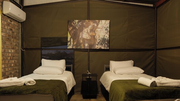 Habitación con 2 camas individuales, vistas al complejo turístico | Espacio para trabajar con un portátil