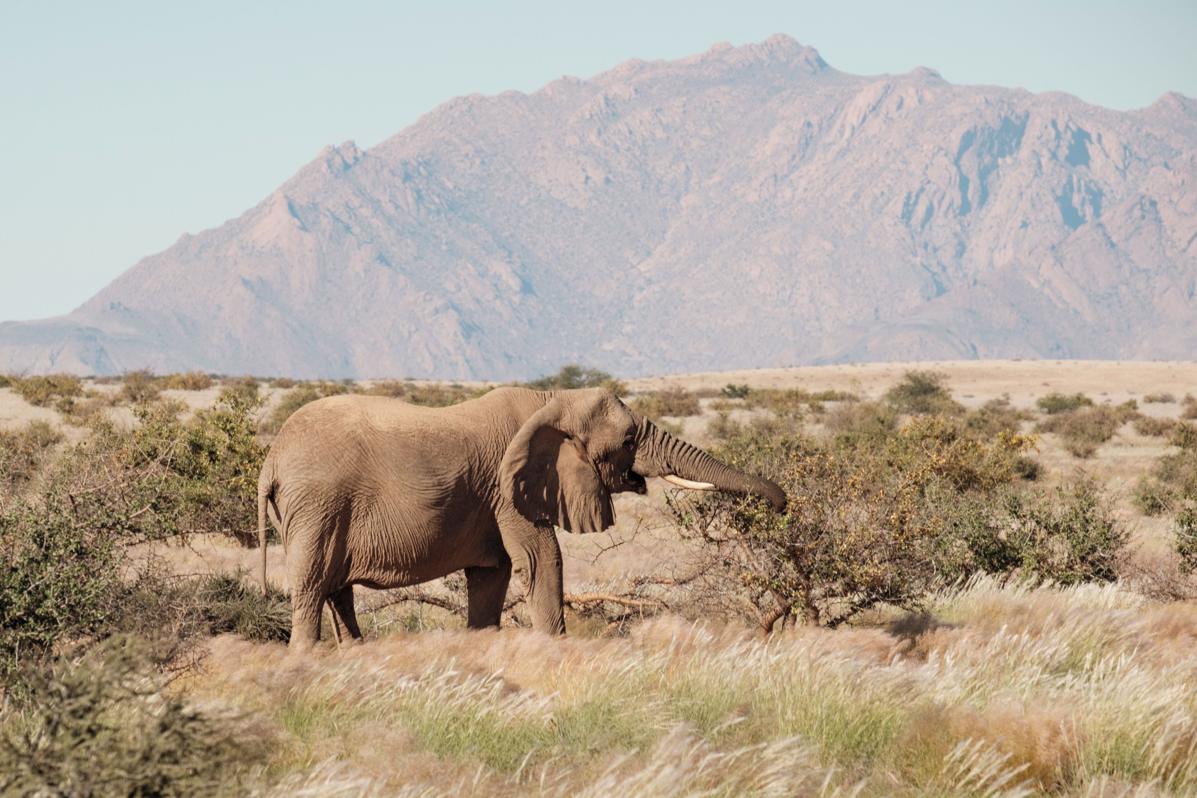 Miscellaneous