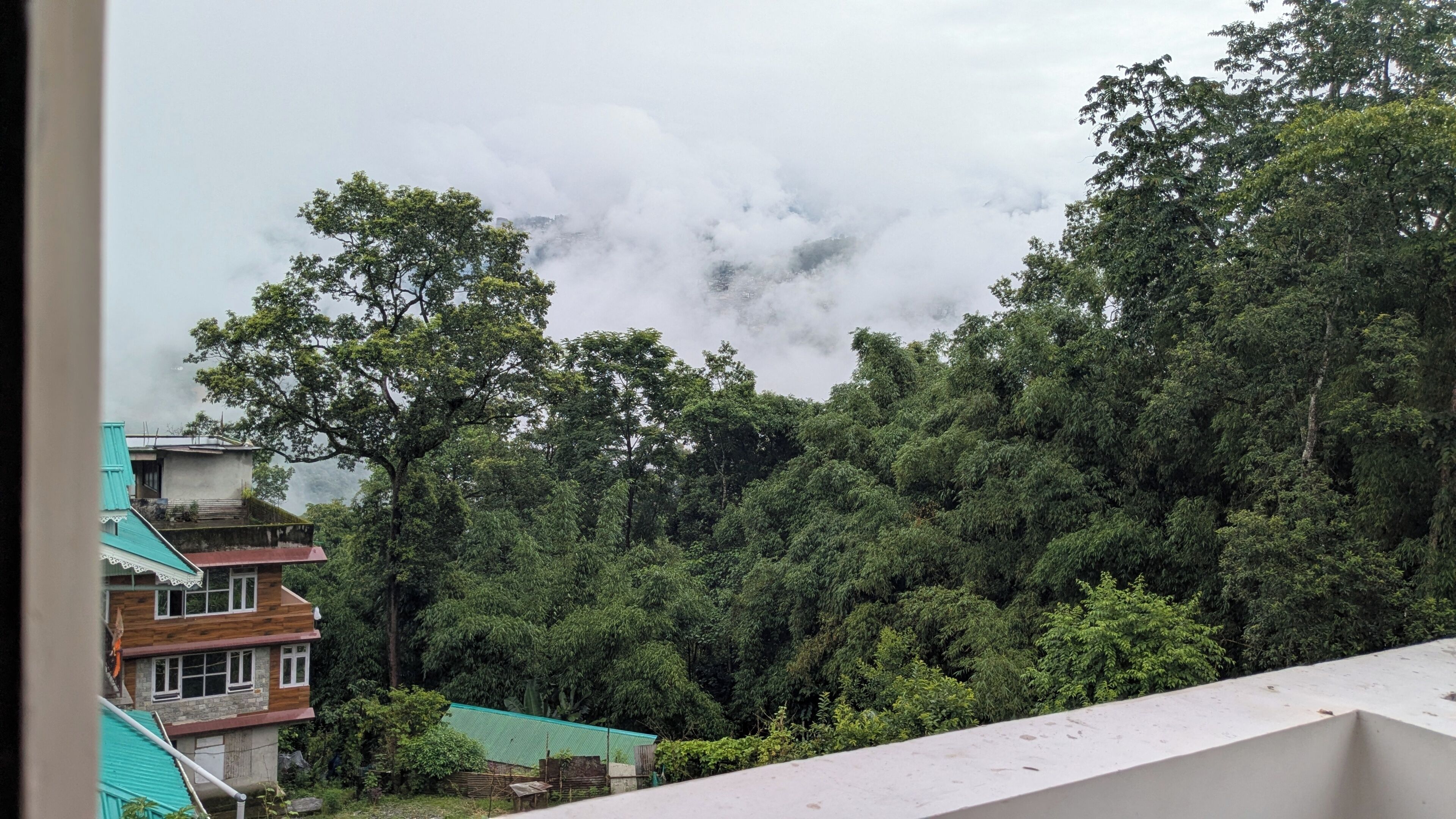 Vista de una zona montañosa con bosque denso y algunos edificios.