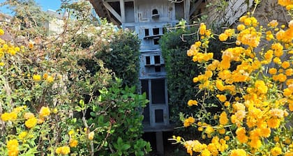 The "House of the Dovecote" in one of France's most beautiful villages