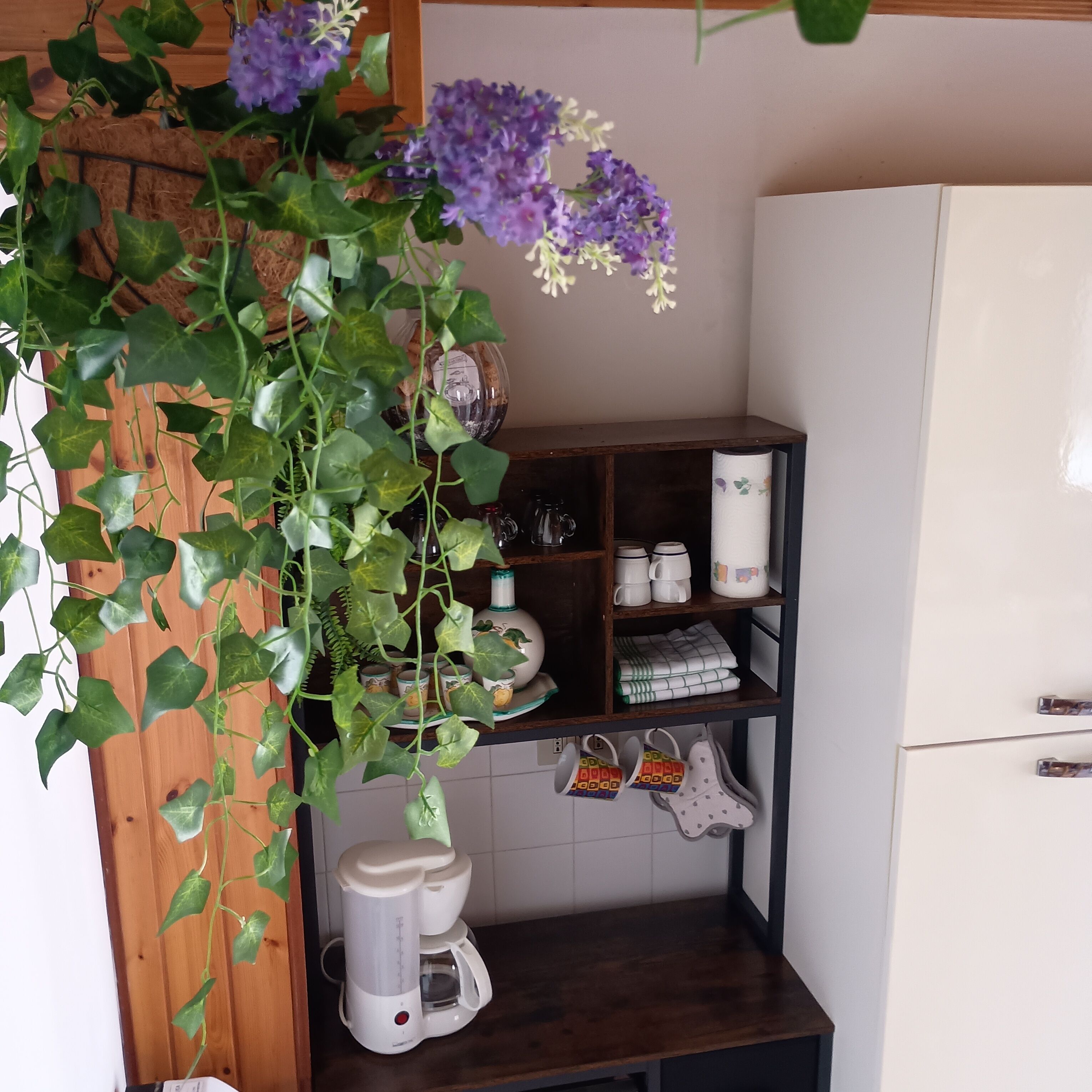 A kitchen with a coffee maker, shelves with kitchenware, and a potted plant with purple flowers.