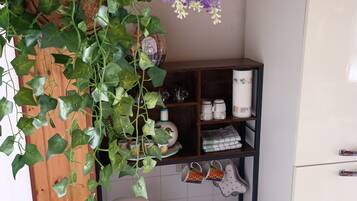 A kitchen with a coffee maker, shelves with kitchenware, and a potted plant with purple flowers.