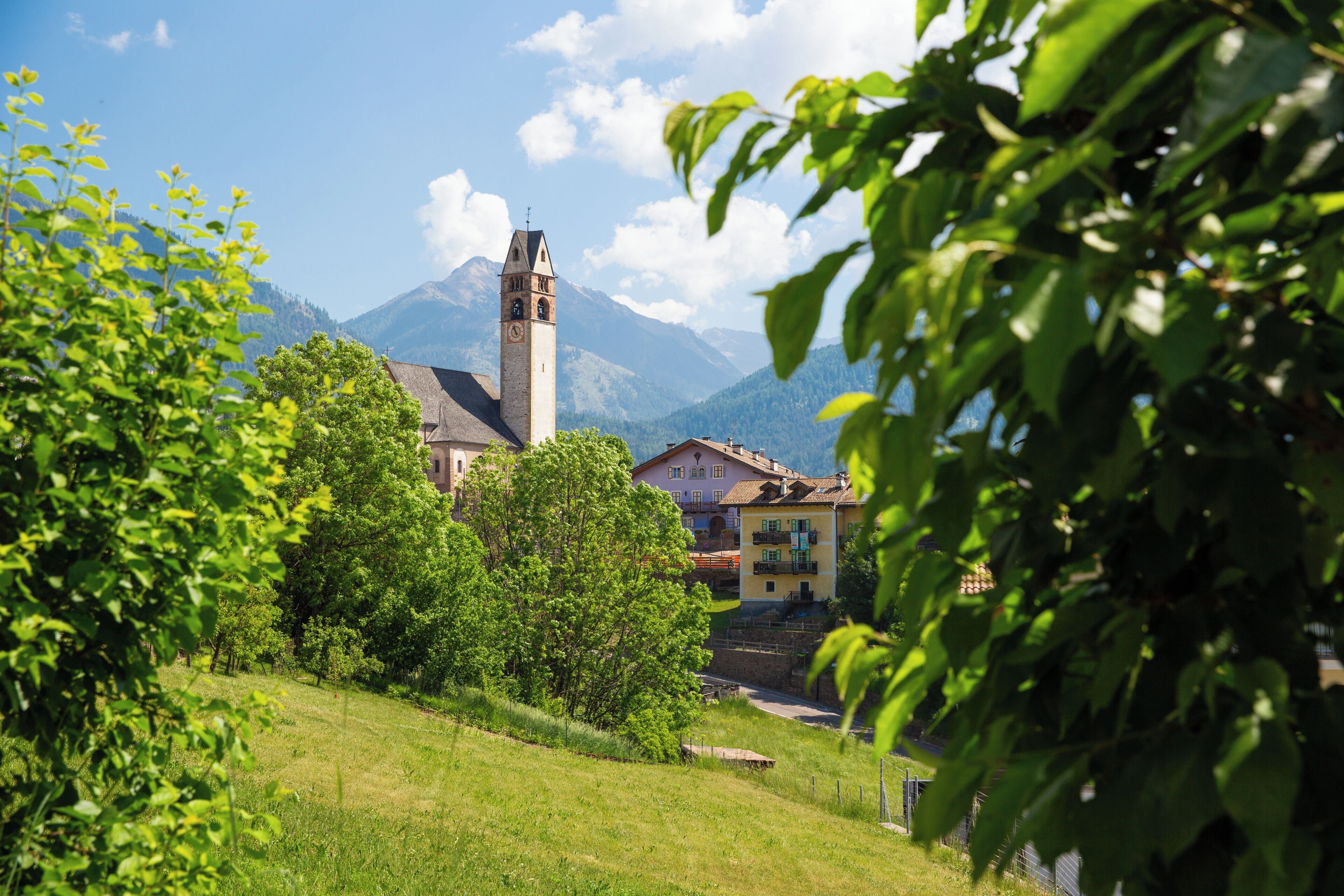 A church with a bell tower, surrounded by greenery and mountains in the background.
