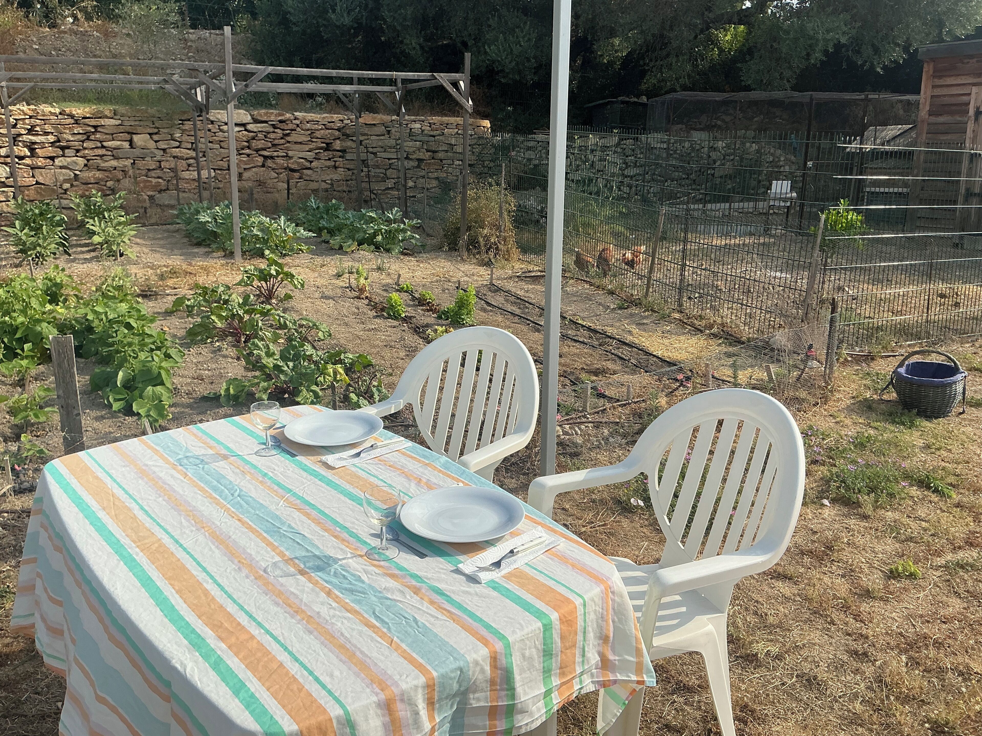 室外用餐