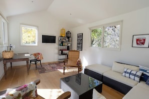 Smart TV, fireplace, books, stereo