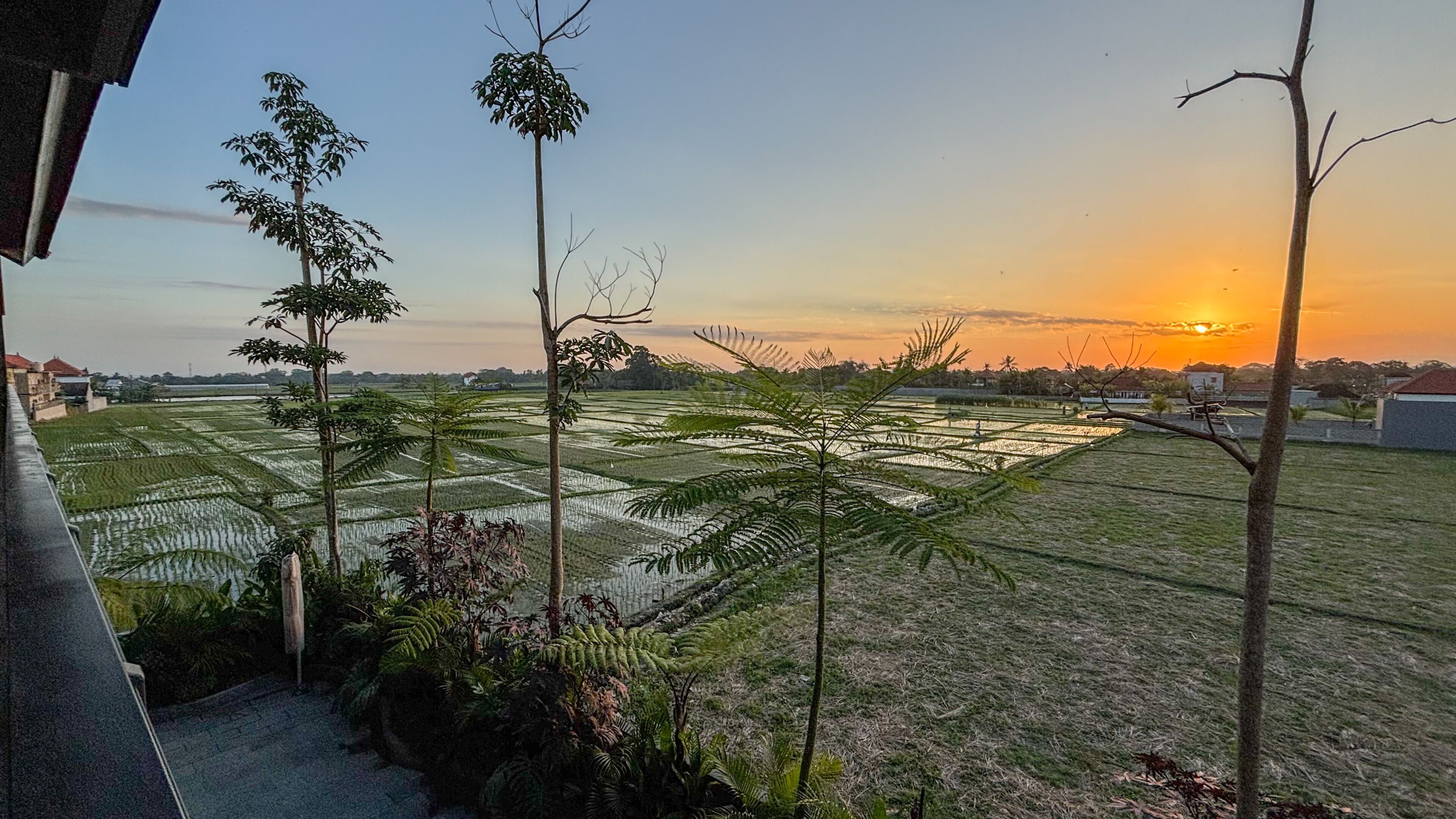 Una vista de campos de arroz en terrazas al atardecer.