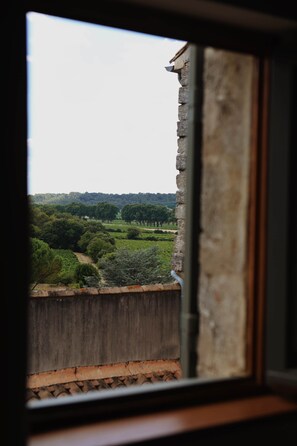 Blick durch ein Fenster auf eine grüne Landschaft und ein Gebäude in der Ferne.