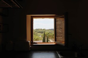 Uma cozinha com janela que dá para uma vista de vinhedo.