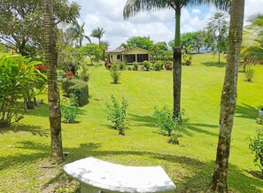 A house surrounded by a well-maintained lawn and tropical vegetation. - Flor de Palma Villa (Tronadora)