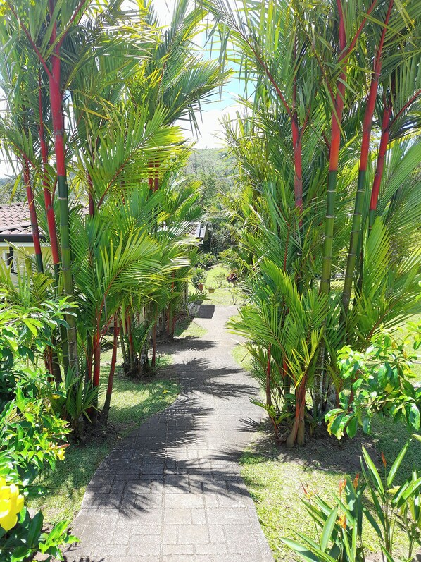 Jardines del alojamiento
